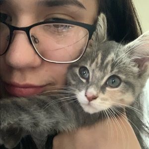 Meet your Posher, Saray